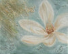 Magnolia Drifting