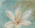 Magnolia Blooming